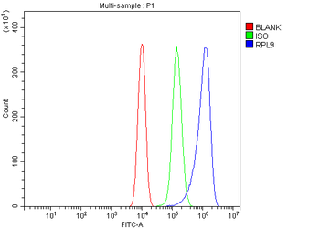 Rpl9 Rabbit Polyclonal Antibody