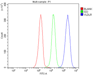 VLDL Receptor/VLDLR Rabbit Polyclonal Antibody