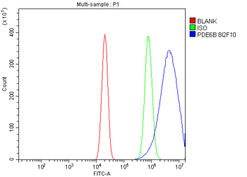 PDE6 beta/PDE6B Mouse Monoclonal Antibody