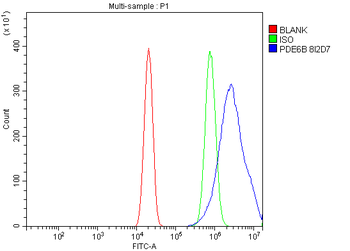 PDE6 beta/PDE6B Mouse Monoclonal Antibody