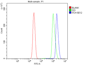 ITCH/AIP4 Antibody (monoclonal, 5E12)