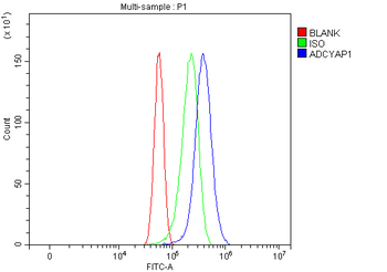 PACAP-38/ADCYAP1 Antibody