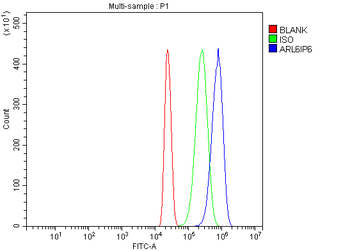 ARL6IP6 Antibody