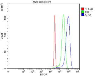 ATF2 Rabbit Polyclonal Antibody