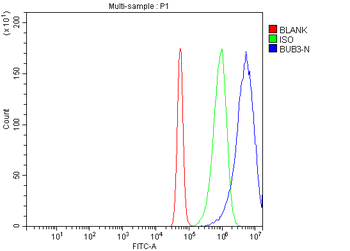 BUB3 Rabbit Polyclonal Antibody