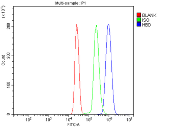 HBD Rabbit Polyclonal Antibody