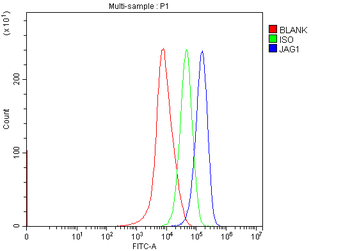 Jagged1/JAG1 Rabbit Polyclonal Antibody