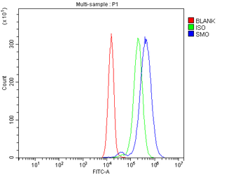 Smoothened/SMO Rabbit Polyclonal Antibody