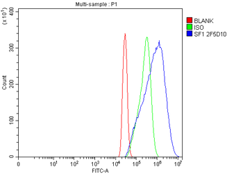 splicing factor 1 Antibody (monoclonal, 2F5D10)