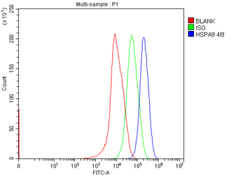Grp75 Antibody (monoclonal, 4I9)