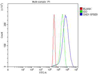 SND1 Mouse Monoclonal Antibody