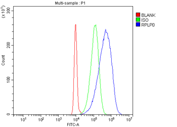 RPLP0 Antibody