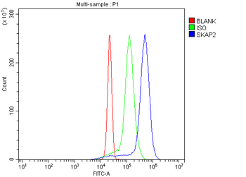 SKAP2 Antibody