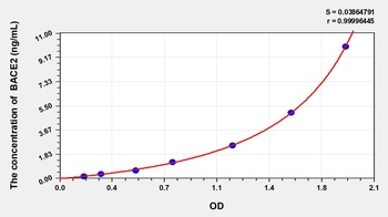 Rat Beta Secretase 2 (BACE2) ELISA Kit