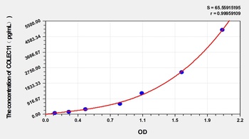 Human Collectin Sub-Family Member 11 (COLEC11) ELISA Kit
