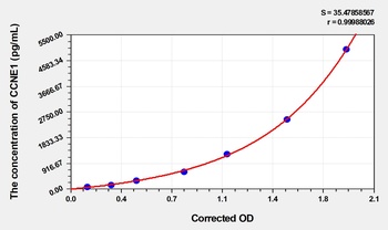 Human Cyclin E1 (CCNE1) ELISA Kit