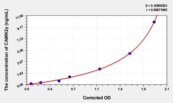Mouse Calcium/Calmodulin Dependent Protein Kinase II Gamma (CAMK2γ) ELISA Kit