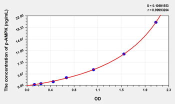 Human p-AMPK(Phosphorylated Adenosine Monophosphate Activated Protein Kinase) ELISA Kit