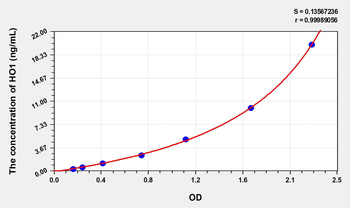 Simian HO1(Heme Oxygenase 1, Decycling) ELISA Kit