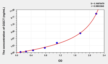Human GGCT(Gamma-Glutamylcyclotransferase) ELISA Kit