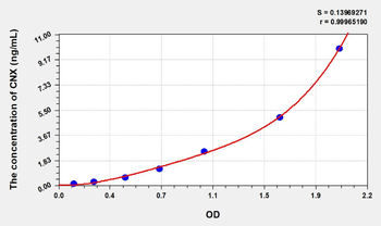 Rat CNX(Calnexin) ELISA Kit
