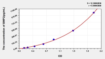 Human Bone Morphogenetic Protein 2 (BMP2) ELISA Kit