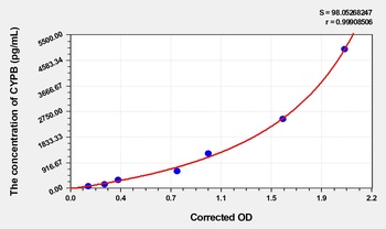 Human Cyclophilin B (CYPB) ELISA Kit