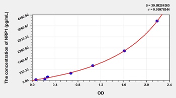 Human Neuropilin 1 (NRP1) ELISA Kit