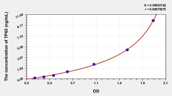 Human Tumor Protein P63 (TP63) ELISA Kit