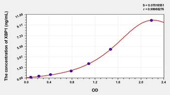 Human X-Box Binding Protein 1 (XBP1) ELISA Kit