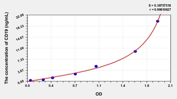 Human Cluster of Differentiation 19 (CD19) ELISA Kit