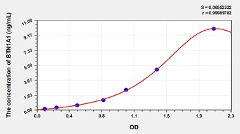 Human Butyrophilin Subfamily 1, Member A1 (BTN1A1) ELISA Kit