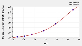 Human Drebrin 1 (DBN1) ELISA Kit