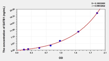 Human SATB Homeobox Protein 1 (SATB1) ELISA Kit