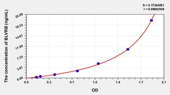 Human Biliverdin Reductase B (BLVRB) ELISA Kit