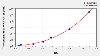 Human Cyclin A1 (CCNA1) ELISA Kit