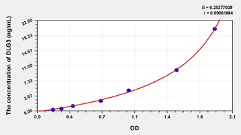 Human Discs, Large Homolog 3 (DLG3) ELISA Kit