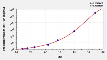 Human Replication Protein A1 (RPA1) ELISA Kit