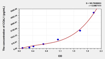 Human Cysteine Conjugate Beta Lyase, Cytoplasmic (CCbL1) ELISA Kit