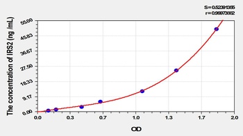 Rat Insulin Receptor Substrate 2 (IRS2) ELISA Kit