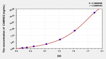 Human Calcium/Calmodulin Dependent Protein Kinase Kinase 2 (CAMKK2) ELISA Kit