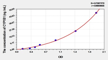 Rat Cytochrome P450 1B1 (CYP1B1) ELISA Kit