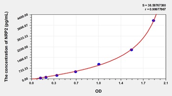 Rat Neuropilin 2 (NRP2) ELISA Kit