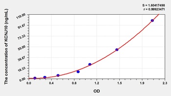 Rat Potassium Inwardly Rectifying Channel Subfamily J, Member 10 (KCNJ10) ELISA Kit