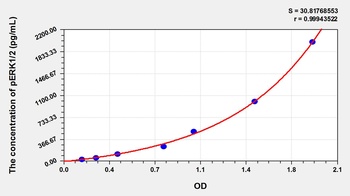 Human Phospho Extracellular Signal Regulated Kinase (pERK) ELISA Kit
