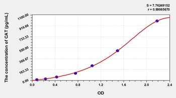 Rabbit Catalase (CAT) ELISA Kit