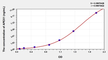 Rat Apurinic/Apyrimidinic Endonuclease 1 (APEX1) ELISA Kit