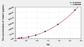 Rat Calcineurin-Binding Protein cabin-1 (Cabin1) ELISA Kit