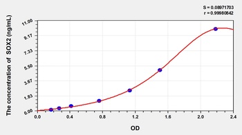 Human Sex Determining Region Y Box Protein 2 (SOX2) ELISA Kit