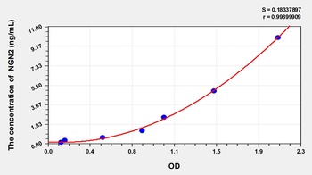 Human Neurogenin 2 (NGN2) ELISA Kit
